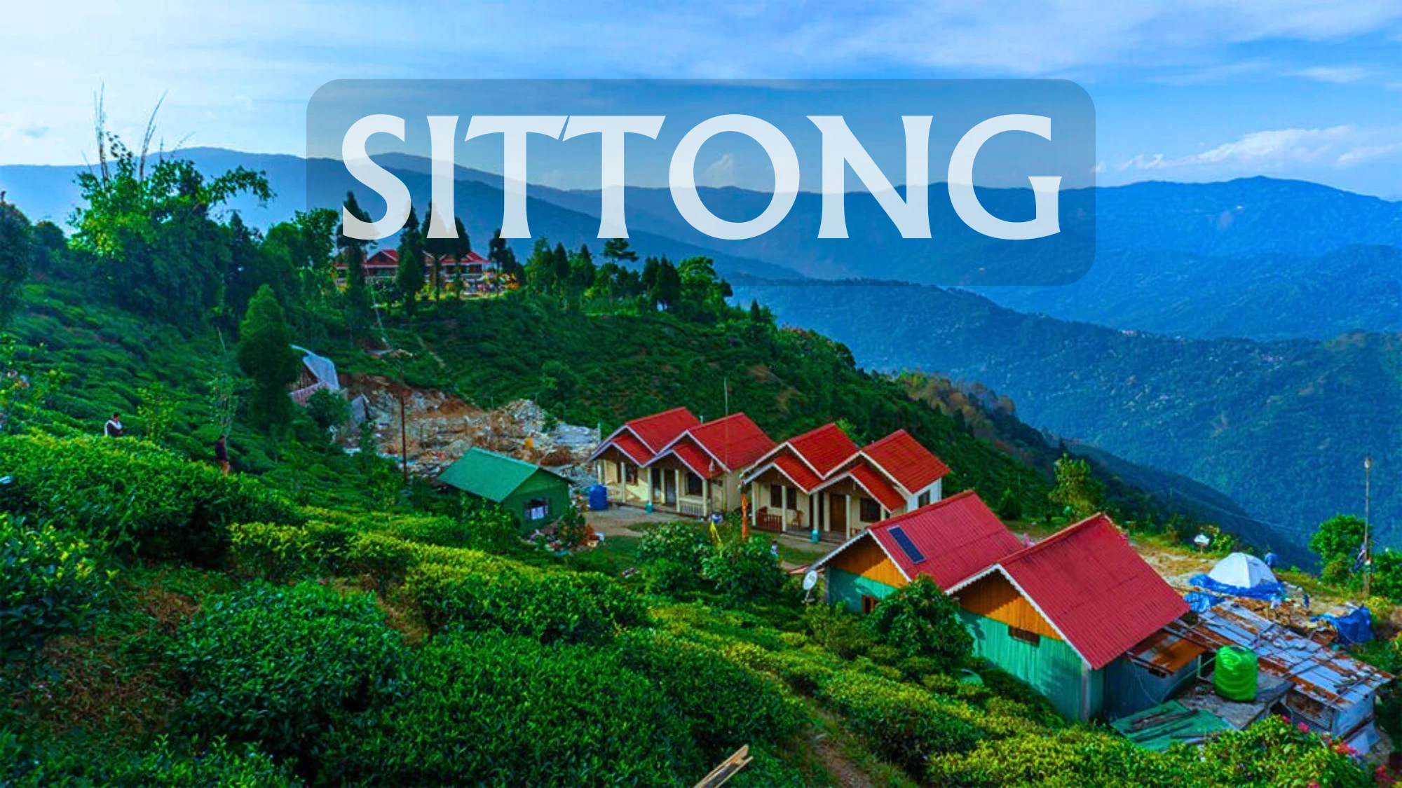 sittong